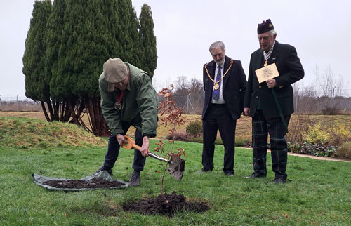 Coronation Tree for The Biblical Gardens