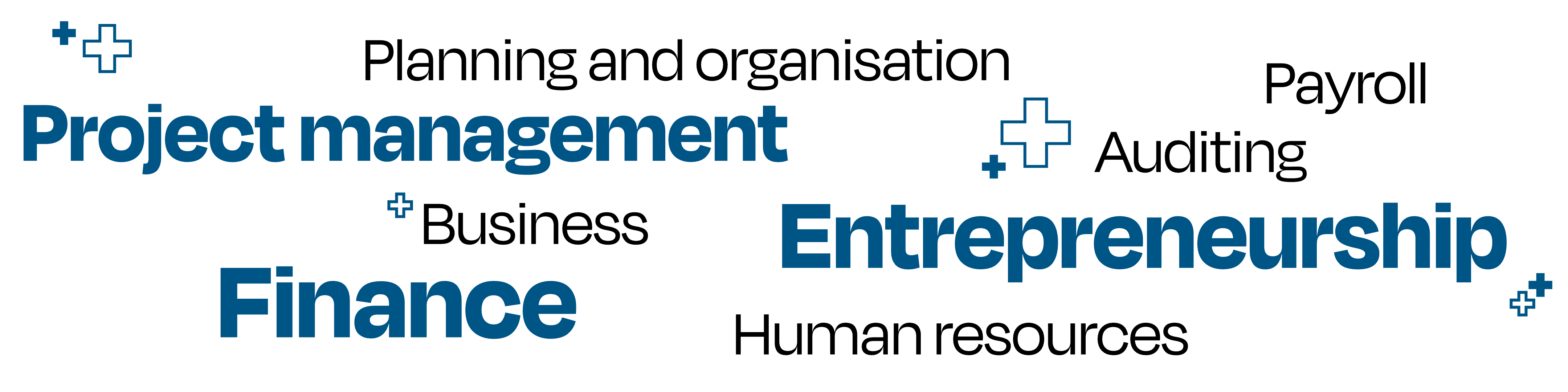 Keywords related to the Business, Administration and Accountancy industries laid out in a random cluster. The words are: Planning and organisation, project management, payroll, auditing, business, entrepreneurship, finance, human resources