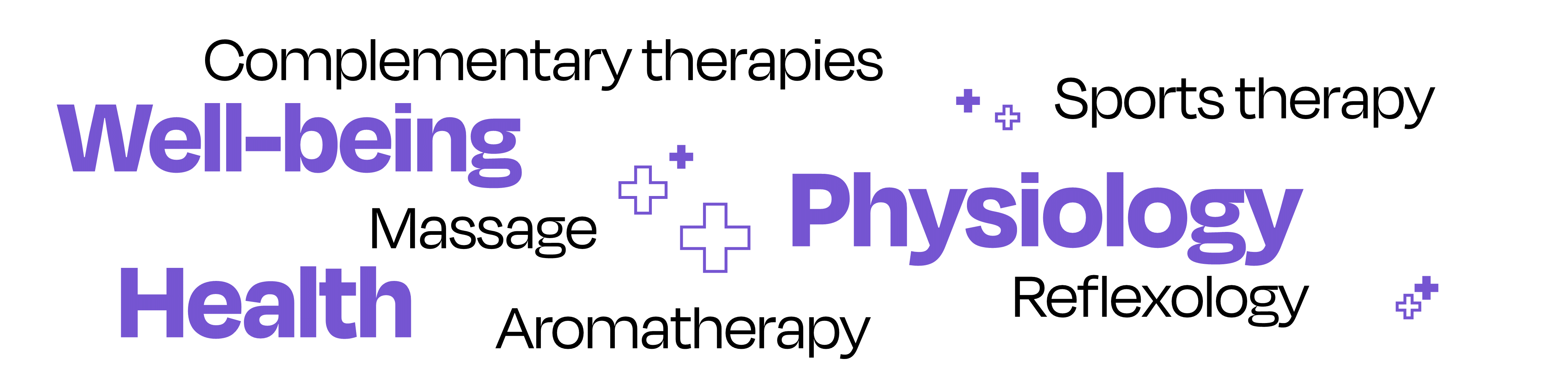 Keywords related to the integrative healthcare industry laid out in a random cluster. The words are: complementary therapies, well-being, massage, health, aromatherapy, physiology, reflexology, sports therapy