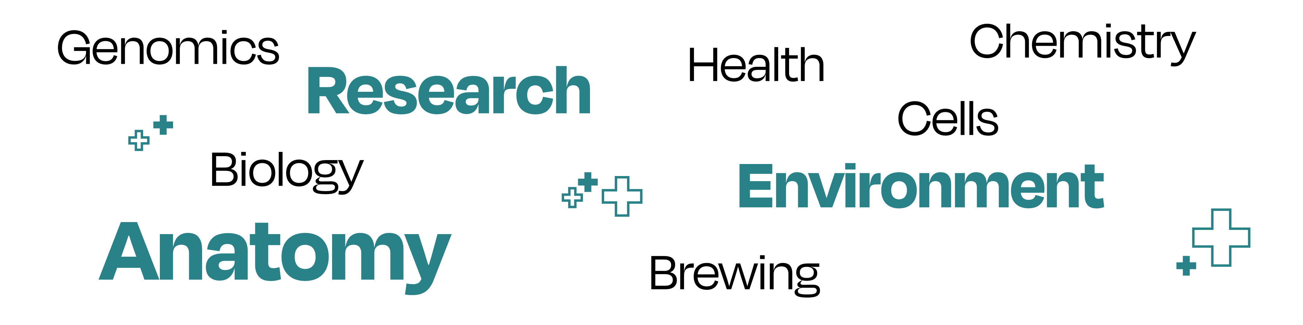 Keywords related to the science industry laid out in a random cluster. The words are: genomics, research, biology, anatomy, brewing, environment, cells, health, chemistry